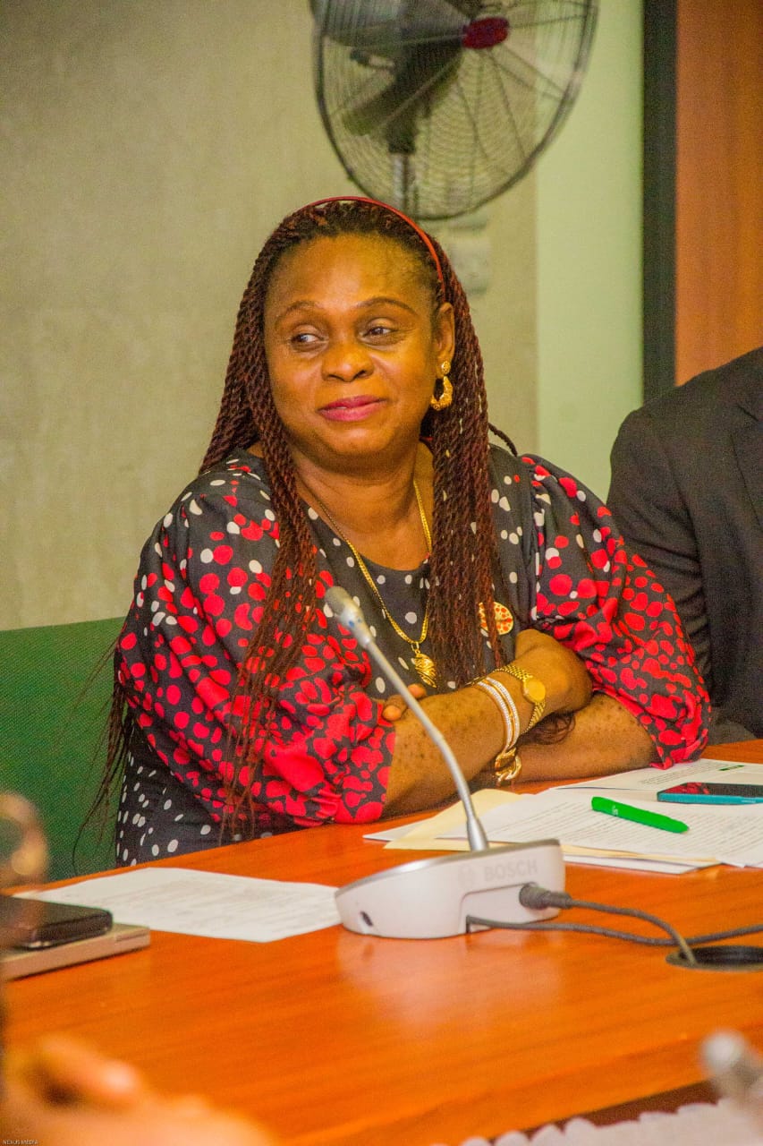 A delegate speaking during the stakeholders' meeting